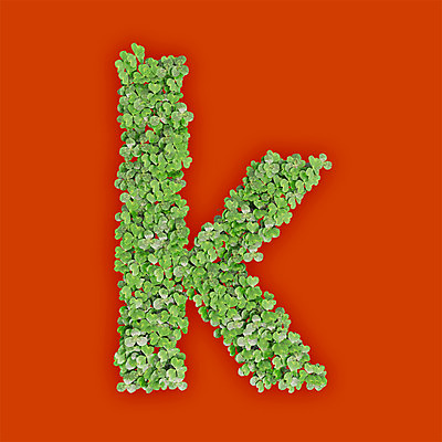 PSD 식물 편집이미지 문자 알파벳 영어 텍스트 타이포그라피 사람없음 초록색 3D 새싹 주황색 풀 클로버 소문자 K 편집3D 컬러 디지털합성 파일형식