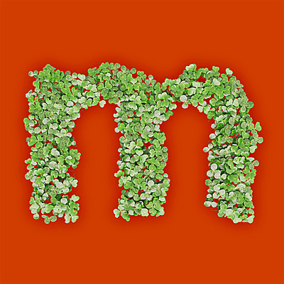 PSD 식물 편집이미지 문자 알파벳 영어 텍스트 타이포그라피 사람없음 초록색 3D 새싹 주황색 풀 클로버 소문자 M 편집3D 컬러 디지털합성 파일형식