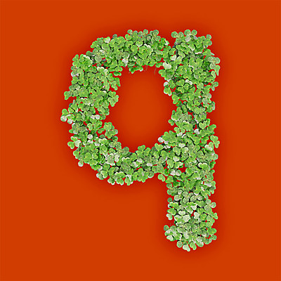 PSD 식물 편집이미지 문자 알파벳 영어 텍스트 타이포그라피 사람없음 초록색 3D 새싹 주황색 풀 클로버 소문자 Q 편집3D 컬러 디지털합성 파일형식