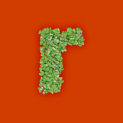 PSD 식물 편집이미지 문자 알파벳 영어 텍스트 타이포그라피 사람없음 초록색 3D 새싹 알 주황색 풀 클로버 소문자 R 편집3D 컬러 디지털합성 파일형식