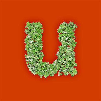 PSD 식물 편집이미지 문자 알파벳 영어 텍스트 타이포그라피 사람없음 초록색 3D 새싹 주황색 U 풀 유 클로버 소문자 편집3D 컬러 디지털합성 파일형식