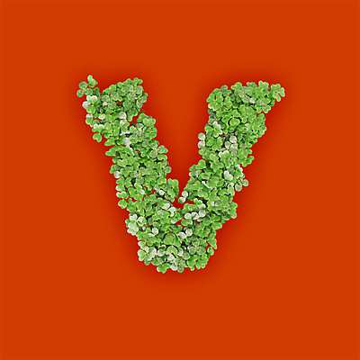 PSD 식물 편집이미지 문자 알파벳 영어 텍스트 타이포그라피 사람없음 초록색 3D 새싹 주황색 풀 클로버 V 소문자 편집3D 컬러 디지털합성 파일형식