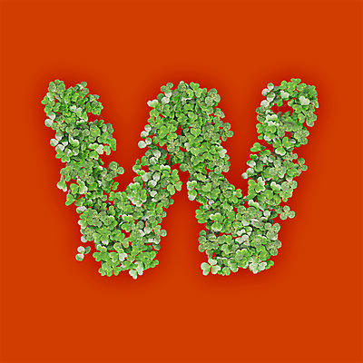 PSD 식물 편집이미지 문자 알파벳 영어 텍스트 타이포그라피 사람없음 초록색 3D 새싹 주황색 풀 클로버 소문자 W 편집3D 컬러 디지털합성 파일형식