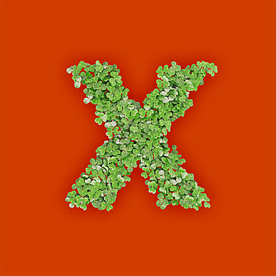 PSD 식물 편집이미지 문자 알파벳 영어 텍스트 타이포그라피 사람없음 초록색 3D 새싹 주황색 금지 풀 클로버 X 아니오 소문자 편집3D 컬러 디지털합성 파일형식