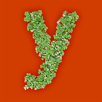 PSD 식물 편집이미지 문자 알파벳 영어 텍스트 타이포그라피 사람없음 초록색 3D 새싹 주황색 풀 클로버 소문자 Y 편집3D 컬러 디지털합성 파일형식