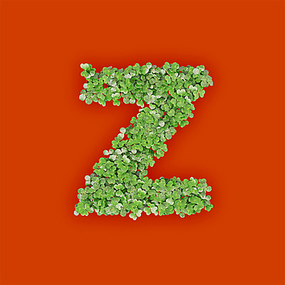 PSD 식물 편집이미지 문자 알파벳 영어 텍스트 타이포그라피 사람없음 초록색 3D 새싹 주황색 풀 클로버 소문자 Z 편집3D 컬러 디지털합성 파일형식