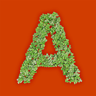 PSD 식물 편집이미지 문자 알파벳 영어 텍스트 대문자 타이포그라피 사람없음 초록색 3D 새싹 주황색 풀 클로버 A 편집3D 컬러 디지털합성 파일형식