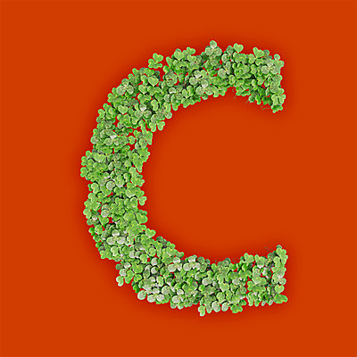 PSD 식물 편집이미지 문자 알파벳 영어 텍스트 대문자 씨앗 타이포그라피 사람없음 초록색 3D 새싹 주황색 풀 클로버 C 편집3D 컬러 디지털합성 파일형식