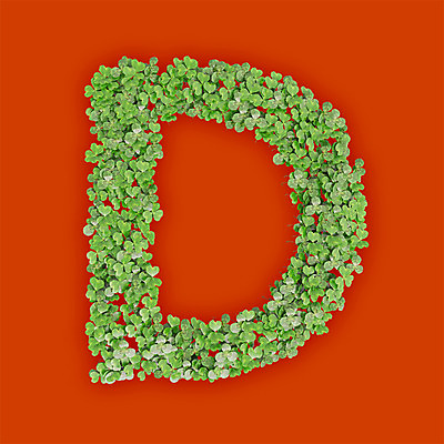 PSD 식물 편집이미지 문자 알파벳 영어 텍스트 대문자 타이포그라피 사람없음 초록색 3D 새싹 주황색 풀 클로버 D 편집3D 컬러 디지털합성 파일형식