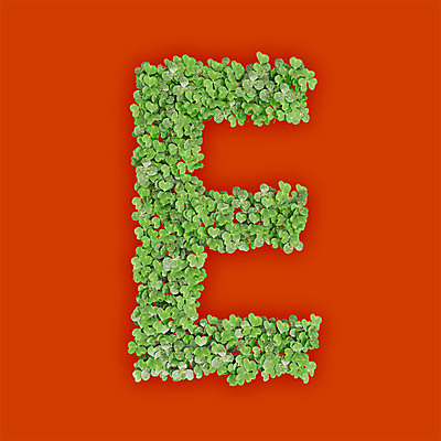 PSD 식물 편집이미지 문자 알파벳 영어 텍스트 대문자 타이포그라피 사람없음 초록색 3D 새싹 주황색 풀 E 클로버 편집3D 컬러 디지털합성 파일형식