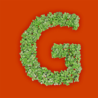 PSD 식물 편집이미지 문자 알파벳 영어 텍스트 대문자 타이포그라피 사람없음 초록색 3D 새싹 주황색 풀 클로버 G 편집3D 컬러 디지털합성 파일형식