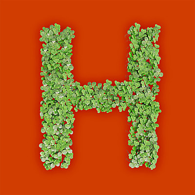 PSD 식물 편집이미지 문자 알파벳 영어 텍스트 대문자 타이포그라피 사람없음 초록색 3D 새싹 주황색 풀 클로버 H 편집3D 컬러 디지털합성 파일형식