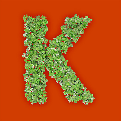 PSD 식물 편집이미지 문자 알파벳 영어 텍스트 대문자 타이포그라피 사람없음 초록색 3D 새싹 주황색 풀 클로버 K 편집3D 컬러 디지털합성 파일형식