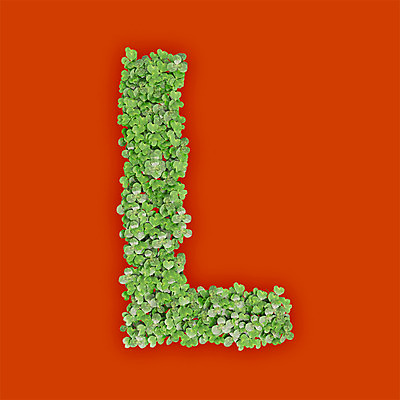 PSD 식물 편집이미지 문자 알파벳 영어 텍스트 대문자 타이포그라피 사람없음 초록색 3D 새싹 주황색 풀 클로버 L 편집3D 컬러 디지털합성 파일형식