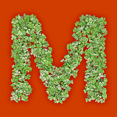 PSD 식물 편집이미지 문자 알파벳 영어 텍스트 대문자 타이포그라피 사람없음 초록색 3D 새싹 주황색 풀 클로버 M 편집3D 컬러 디지털합성 파일형식