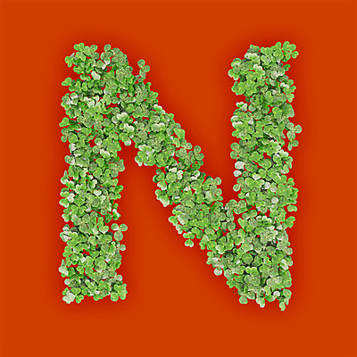 PSD 식물 편집이미지 문자 알파벳 영어 텍스트 대문자 타이포그라피 사람없음 초록색 3D 새싹 주황색 풀 엔 N 클로버 편집3D 컬러 돈 디지털합성 파일형식