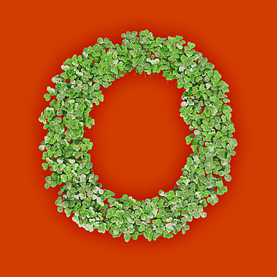 PSD 식물 편집이미지 문자 알파벳 영어 텍스트 대문자 타이포그라피 사람없음 초록색 3D 새싹 주황색 풀 오 클로버 O 편집3D 컬러 디지털합성 파일형식