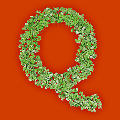 PSD 식물 편집이미지 문자 알파벳 영어 텍스트 대문자 타이포그라피 사람없음 초록색 3D 새싹 주황색 풀 클로버 Q 편집3D 컬러 디지털합성 파일형식