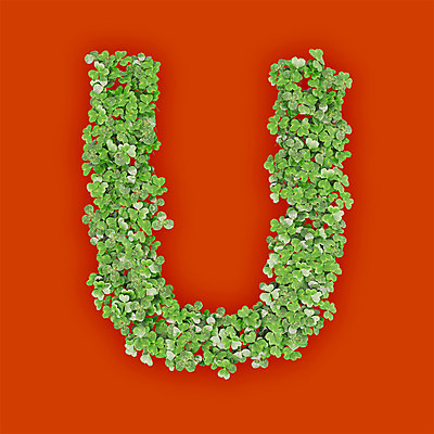 PSD 식물 편집이미지 문자 알파벳 영어 텍스트 대문자 타이포그라피 사람없음 초록색 3D 새싹 주황색 U 풀 유 클로버 편집3D 컬러 디지털합성 파일형식