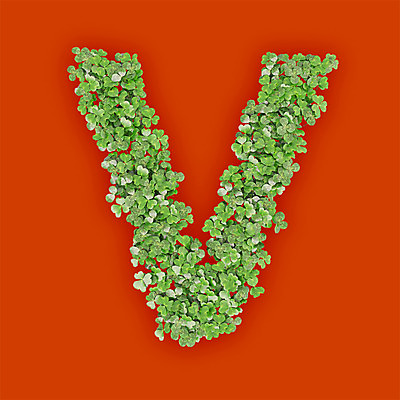PSD 식물 편집이미지 문자 알파벳 영어 텍스트 대문자 타이포그라피 사람없음 초록색 3D 새싹 주황색 풀 클로버 V 편집3D 컬러 디지털합성 파일형식