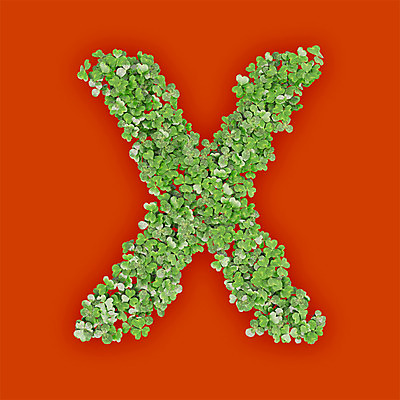 PSD 식물 편집이미지 문자 알파벳 영어 텍스트 대문자 타이포그라피 사람없음 초록색 3D 새싹 주황색 금지 풀 클로버 X 아니오 편집3D 컬러 디지털합성 파일형식