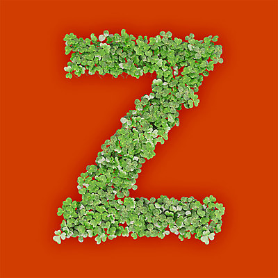 PSD 식물 편집이미지 문자 알파벳 영어 텍스트 대문자 타이포그라피 사람없음 초록색 3D 새싹 주황색 풀 클로버 Z 편집3D 컬러 디지털합성 파일형식