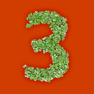 PSD 식물 편집이미지 문자 텍스트 3 타이포그라피 사람없음 초록색 숫자 3D 새싹 주황색 풀 삼 클로버 편집3D 컬러 채소 디지털합성 파일형식