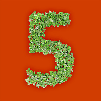 PSD 식물 편집이미지 문자 텍스트 타이포그라피 사람없음 초록색 숫자 3D 새싹 주황색 풀 오 클로버 5 편집3D 컬러 디지털합성 파일형식