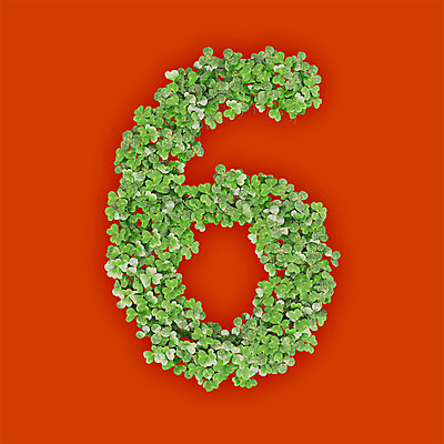 PSD 식물 편집이미지 문자 텍스트 타이포그라피 사람없음 초록색 숫자 3D 새싹 주황색 풀 클로버 6 편집3D 컬러 디지털합성 파일형식