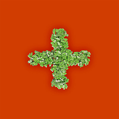 PSD 식물 편집이미지 문자 기호 텍스트 타이포그라피 사람없음 초록색 3D 새싹 주황색 풀 클로버 플러스 연산기호 편집3D 컬러 디지털합성 파일형식