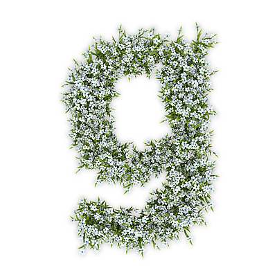 PSD 식물 편집이미지 문자 알파벳 영어 꽃 텍스트 타이포그라피 사람없음 3D 흰색 G 소문자 수국 편집3D 컬러 디지털합성 파일형식