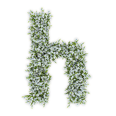 PSD 식물 편집이미지 문자 알파벳 영어 꽃 텍스트 타이포그라피 사람없음 3D 흰색 소문자 수국 H 편집3D 컬러 디지털합성 파일형식