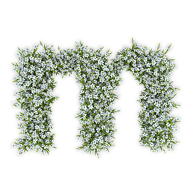 PSD 식물 편집이미지 문자 알파벳 영어 꽃 텍스트 타이포그라피 사람없음 3D 흰색 소문자 수국 M 편집3D 컬러 디지털합성 파일형식