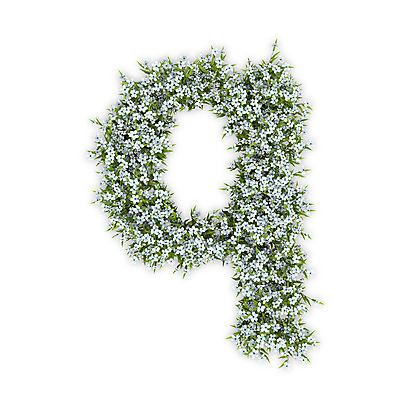 PSD 식물 편집이미지 문자 알파벳 영어 꽃 텍스트 타이포그라피 사람없음 3D 흰색 소문자 수국 Q 편집3D 컬러 디지털합성 파일형식