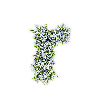 PSD 식물 편집이미지 문자 알파벳 영어 꽃 텍스트 타이포그라피 사람없음 3D 알 흰색 소문자 수국 R 편집3D 컬러 디지털합성 파일형식