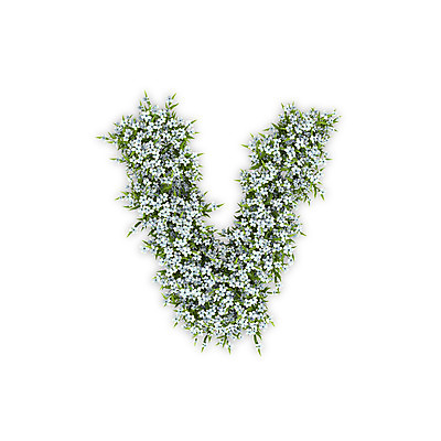 PSD 식물 편집이미지 문자 알파벳 영어 꽃 텍스트 타이포그라피 사람없음 3D 흰색 V 소문자 수국 편집3D 컬러 디지털합성 파일형식