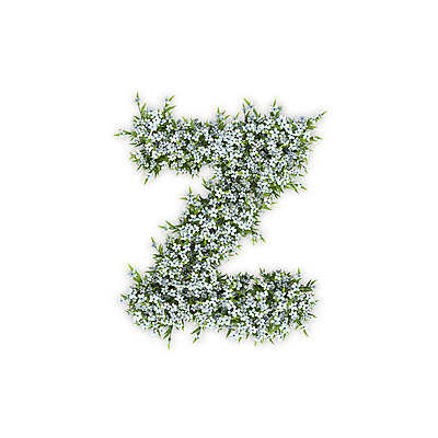 PSD 식물 편집이미지 문자 알파벳 영어 꽃 텍스트 타이포그라피 사람없음 3D 흰색 소문자 수국 Z 편집3D 컬러 디지털합성 파일형식