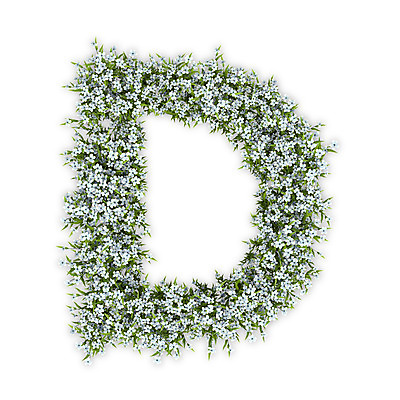 PSD 식물 편집이미지 문자 알파벳 영어 꽃 텍스트 대문자 타이포그라피 사람없음 3D 흰색 수국 D 편집3D 컬러 디지털합성 파일형식