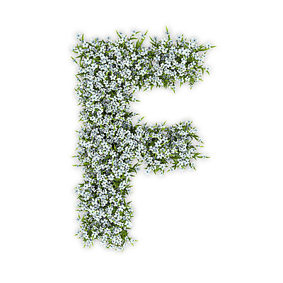 PSD 식물 편집이미지 문자 알파벳 영어 꽃 텍스트 대문자 타이포그라피 사람없음 3D 흰색 수국 F 편집3D 컬러 디지털합성 파일형식