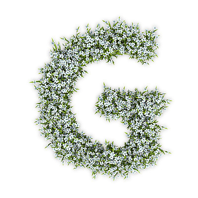 PSD 식물 편집이미지 문자 알파벳 영어 꽃 텍스트 대문자 타이포그라피 사람없음 3D 흰색 G 수국 편집3D 컬러 디지털합성 파일형식