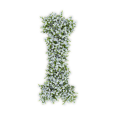 PSD 식물 편집이미지 문자 알파벳 영어 꽃 텍스트 대문자 타이포그라피 사람없음 3D 흰색 수국 I 편집3D 컬러 디지털합성 파일형식