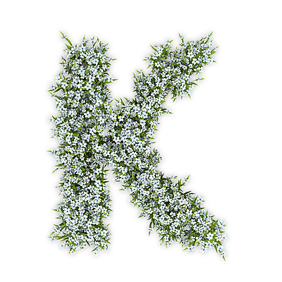 PSD 식물 편집이미지 문자 알파벳 영어 꽃 텍스트 대문자 타이포그라피 사람없음 3D 흰색 수국 K 편집3D 컬러 디지털합성 파일형식