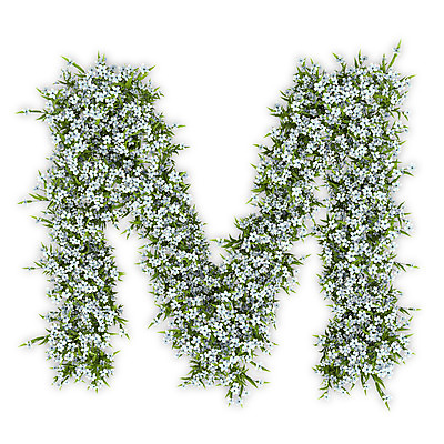 PSD 식물 편집이미지 문자 알파벳 영어 꽃 텍스트 대문자 타이포그라피 사람없음 3D 흰색 수국 M 편집3D 컬러 디지털합성 파일형식