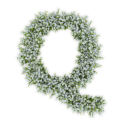 PSD 식물 편집이미지 문자 알파벳 영어 꽃 텍스트 대문자 타이포그라피 사람없음 3D 흰색 수국 Q 편집3D 컬러 디지털합성 파일형식