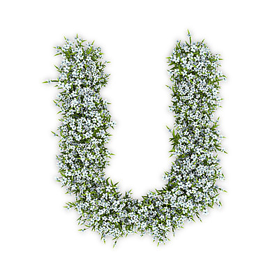 PSD 식물 편집이미지 문자 알파벳 영어 꽃 텍스트 대문자 타이포그라피 사람없음 3D 흰색 U 유 수국 편집3D 컬러 디지털합성 파일형식