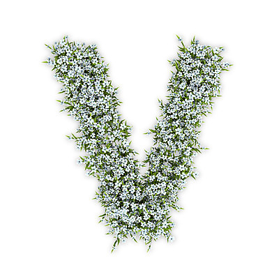 PSD 식물 편집이미지 문자 알파벳 영어 꽃 텍스트 대문자 타이포그라피 사람없음 3D 흰색 V 수국 편집3D 컬러 디지털합성 파일형식