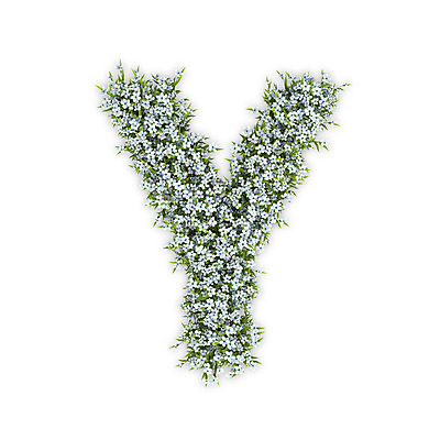 PSD 식물 편집이미지 문자 알파벳 영어 꽃 텍스트 대문자 타이포그라피 사람없음 3D 흰색 수국 Y 편집3D 컬러 디지털합성 파일형식