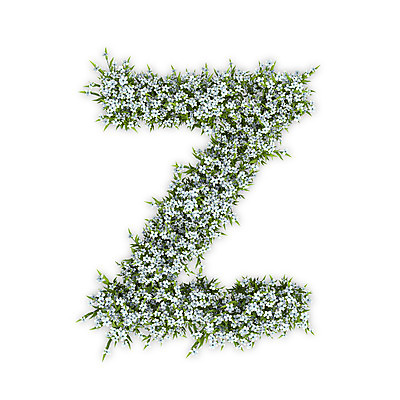 PSD 식물 편집이미지 문자 알파벳 영어 꽃 텍스트 대문자 타이포그라피 사람없음 3D 흰색 수국 Z 편집3D 컬러 디지털합성 파일형식