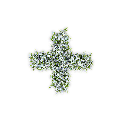 PSD 식물 편집이미지 문자 기호 꽃 텍스트 타이포그라피 사람없음 3D 흰색 덧셈 수국 연산기호 편집3D 컬러 수학 디지털합성 파일형식