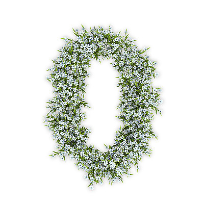 PSD 식물 편집이미지 문자 꽃 텍스트 타이포그라피 사람없음 숫자 3D 흰색 수국 영 편집3D 컬러 디지털합성 파일형식